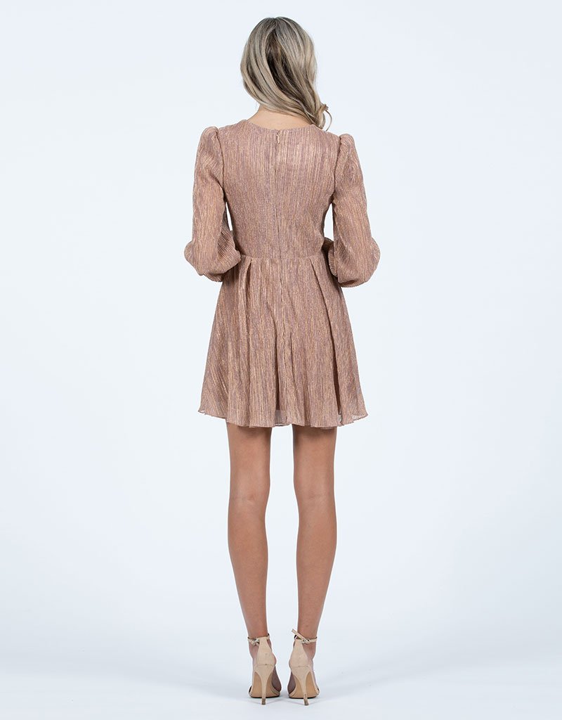 Bariano  Lele Metalic Pleated Mini